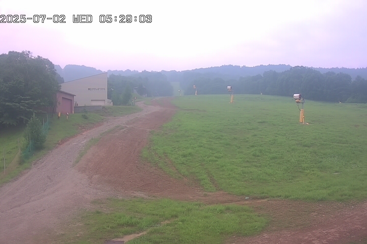 Live Camera
